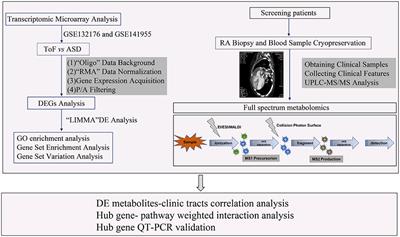 Circular Network of Coregulated Sphingolipids Dictates Chronic Hypoxia Damage in Patients With Tetralogy of Fallot